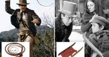 Indiana Jones whip snaps up $525,000 at auction after âCitizen Kaneâ sled goes for $14.75 million